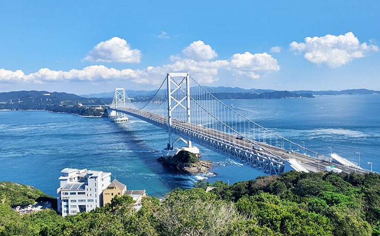 水産品の卸売販売 株式会社セルフィッシュ