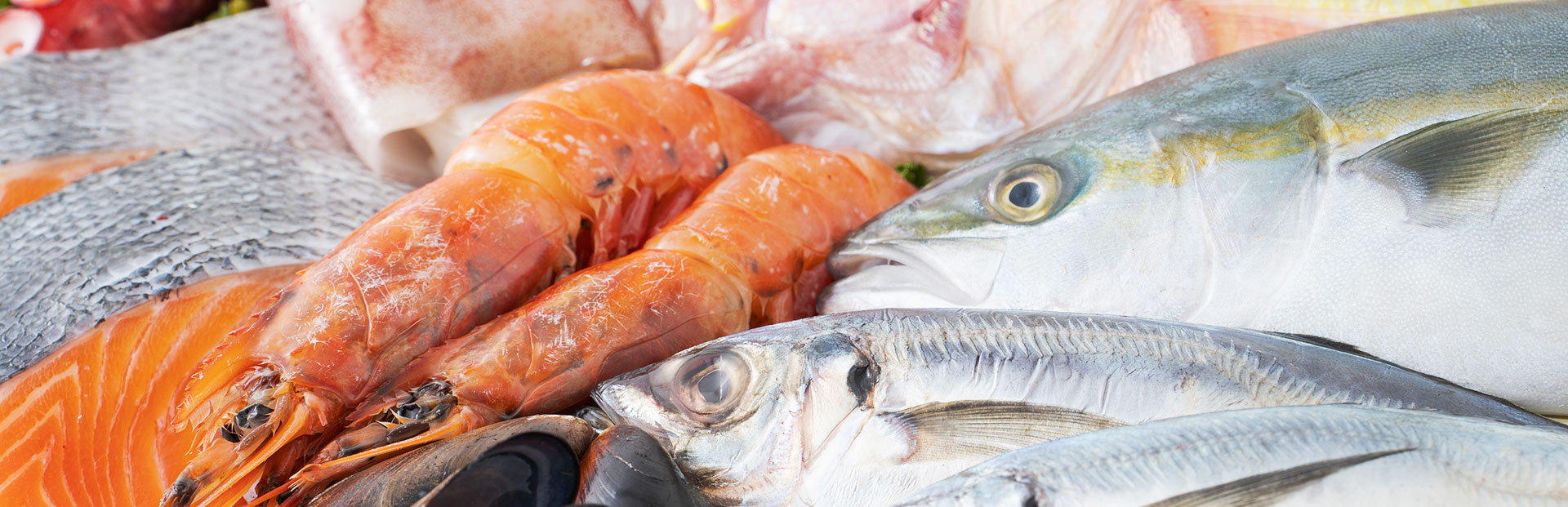 水産事業 セルフィッシュ