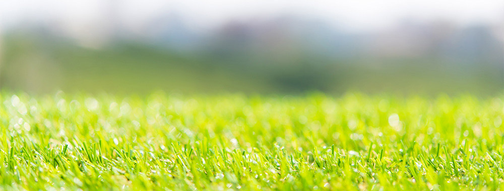 重心型デイサービス